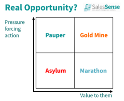 Sales Lead Qualification
