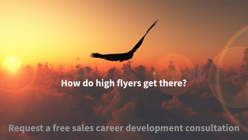 An eagle flying in high to illustrate the value of a career development consultation.