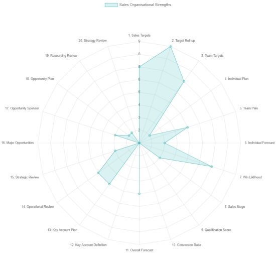 A radar chart illustrating example scores from our sales organisation assessment.