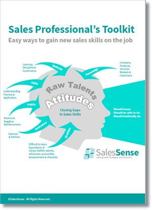 Sales Professionals Tool Kit Cover Picture