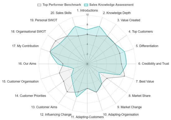 A diagram of scores for the sales knowledge challenge.