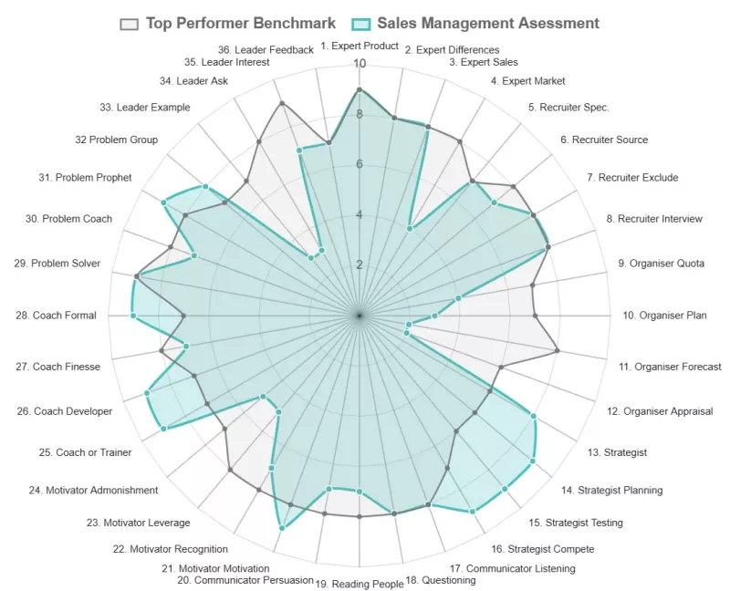 A diagram showing scores for a sales manager key skills and competencies assessment.