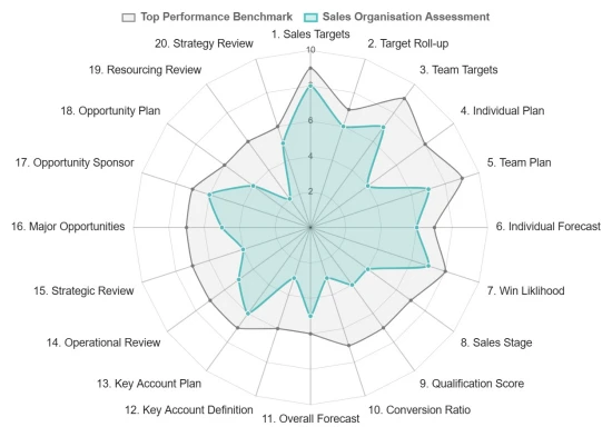 A radar chart illustrating example scores from our sales organisation assessment.